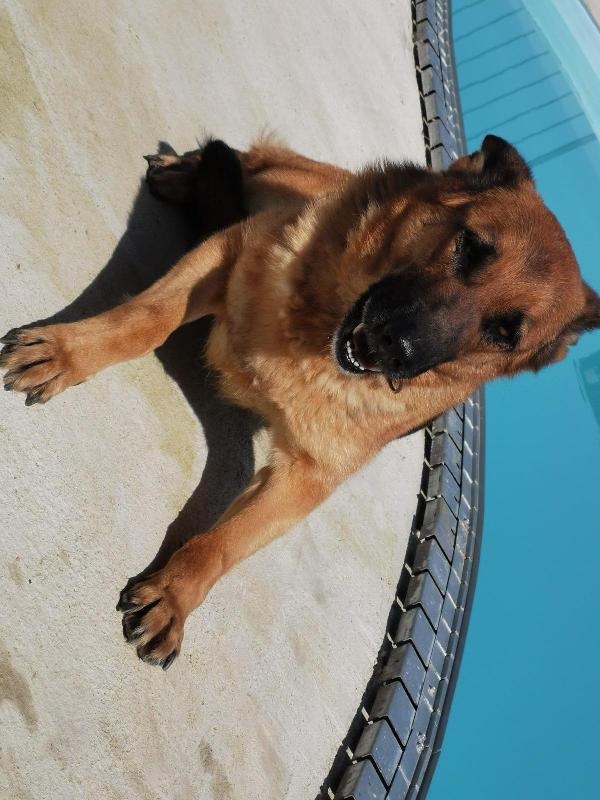 💔 La voce di Kora 💔 Foto 3